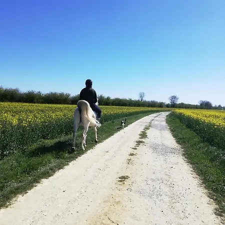A Travers Chants Oda ve Kahvaltı Clion (Charente-Maritime)